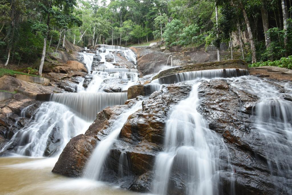 Estacao Verde & Agua Domingos Martins Bagian luar foto